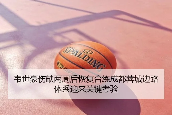 韦世豪伤缺两周后恢复合练成都蓉城边路体系迎来关键考验
