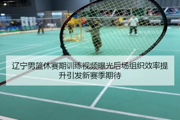 辽宁男篮休赛期训练视频曝光后场组织效率提升引发新赛季期待