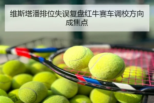 维斯塔潘排位失误复盘红牛赛车调校方向成焦点